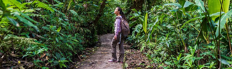 Adventure Travel - Jungle Hiking